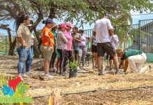 Colegio Santa Filomena ta ultimo scol pa ricibi su hardin di alimentacion