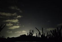 DNM y otro partners a crea rapport cu meta pa disminui contaminacion di luz