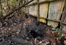 Ecuador: Derame di petroleo ta contamina riu Amazonico