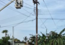 Ministerio di Naturalesa ta recorda cu ta prohibi uso di blaas di plastic den aire liber