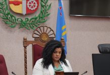 Parlamentario Misha Raymond ta publica cifranan alarmante di investigacion riba abuso di mucha