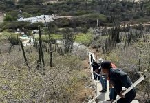 Segun DOW, mester a kita handrails di Hooiberg debi na vandalismo