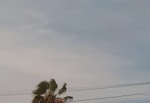 Stichting Monumentenfonds Aruba ta lamenta cu a basha abou un cas historico na Rancho