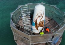 Dia 25 di juli toren di Palm Beach lo tin un diseño unico di artista Paul Wong