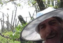 Analisis: Abehanan den peliger pa efecto di crisis climatico