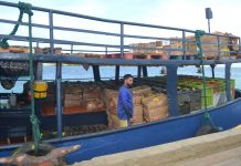 Cifranan ta indica cu exportacionnan di productonan Venezolano pa Aruba ta di 6.86%