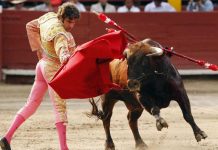 Colombia: Ley cu ta prohibi di corida di toro na e pais a drenta na vigor