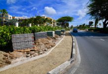 Embeyecemento di Eagle Beach Strip ta continua cu plantacion di matanan local