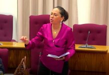 Parlamentarionan di MAS y ACCION21 ta pidi reunion publico cu prome minister pa supuesto metemento politico den OM