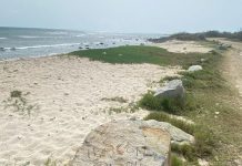 Vandalismo contra naturalesa di Aruba na Arashi