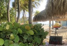 Activista Nigel Maduro cu un estilo diferente di protesta: fiesta riba beach