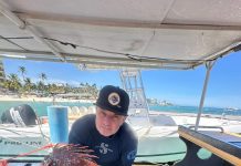 Buskeda pa un canasta di Lionfish; Santa Rosa involucra y ta pidi ayudo di comunidad