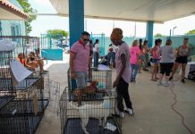 Minister Ursell Arends: Campaña di sterilisacion ta continua den augustus na Centro di Bario Playa Pabao