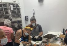 “Cat Extravaganza Weekend” di Paws Uni Aruba tabata un exito