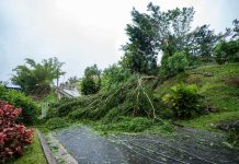 Yobida y biento di e tormenta Ernesto ta provoca daño na henter Puerto Rico