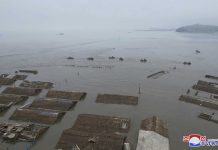 Sur Korea ta ofrece ayudo humanitario pa partinan inunda na Nort Korea