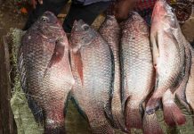 Turista malcontento ta trece dilanti situacion di supuesto gañamento riba menu di restaurantnan