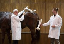 Cabaynan bibo ta uni studiantenan pa un prome les di anatomia na Hungria