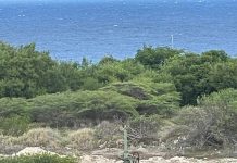 Gobierno ta ignora solicitud pa transparencia den proyecto Zakitó