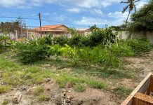 Santa Rosa a entrega tanki pa scolnan colecta awa pa proyecto di Agroforesteria Sintropico