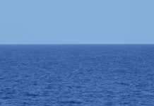 Zr. Ms. Holland ta intercepta droga pa di tres siman consecutivo