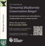 314083-vacatura-arikok-3×15-color