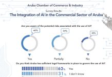 KvK y UNESCO ta presenta resumen encuesta di inteligencia artificial; Casi mita di empresarionan tin plan pa aumenta inversion den AI