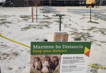Ciudadano a trece dilanti su preocupacion pa otro situacion unda un cas di shoco por ta den peliger