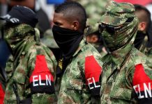Colombia: Corte Supremo ta pidi ELN stop paro arma na Choco pa temporada di awasero