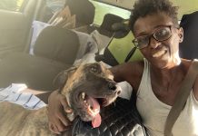 Luna Foundation Aruba a clarifica tocante proceso pa manda cachonan di Aruba pa Merca