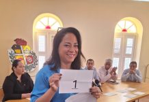 Partidonan politico a haya nan number y color pa dia di eleccion