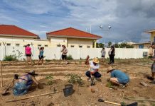 Proyecto agroforesteria sintropico ta den su di dos fase
