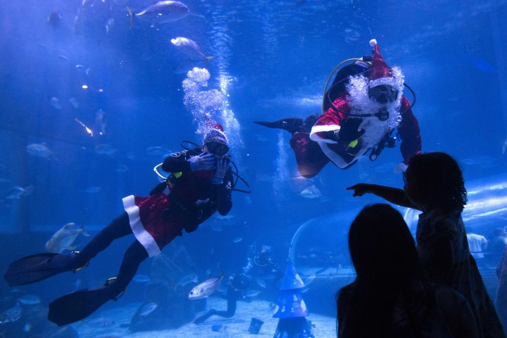 Santa Claus ta landa cu tiburonnan na un Acuario di Rio de Janeiro ...