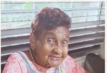 Dominica Themen Giel