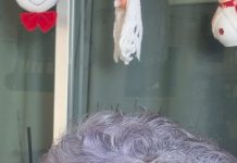 Hermilda I. Toissaint-Commenencia