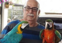 Robert Anthony Robles