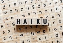 Fundacion Arte di Palabra lo tene nan competencia di haiku 2025