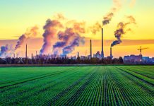 Gabinete Hulandes kier bin cu plan den dos luna pa combati e crisis di nitrogeno: ‘Un problema serio’