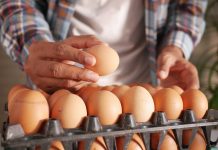 Eierenprijzen kunnen recordniveaus behouden voor de rest van het jaar