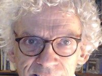 Profesor Leaonard Besselink ta critica Hulanda pa blokia influencia indirecto di paisnan Caribense den e defensa di Reino
