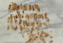 Cientifico ta data restonan di un mucha antiguo cu tin rasgo cu ta parce tanto hende como Neandertal