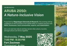 Aruba 2050: A Nature-Inclusive Vision
