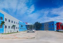 Aña 2024 tabata un aña yen di desaroyo y reto pa DIP DIP