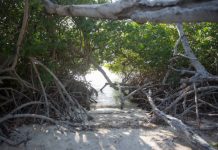 Conecta cu naturalesa hunto cu “Naturalesa ta Papia”