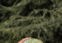 Dia Internacional di Mama Tera: Un yamado pa accion pa restaura mundo