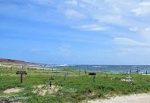 Segun DNM tiramento di bestia den area di Santana di Cacho ta birando un problema