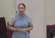 Segun minister di Enseñansa Gerlien Croes DPS no tin un formatieplan aproba