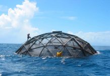 Ainda no tin claridad total riba impacto di cria pisca den lama di Aruba LAMA ARUBA BEACH WATER BLUE PISCA PESCA