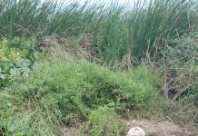 Aruba Wastewater Sustainable Solutions N.V. (AWSS) a entrega keho na Polis pa sabotahe