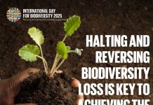 Dia internacional di diversidad biologico, 22 mei 2025